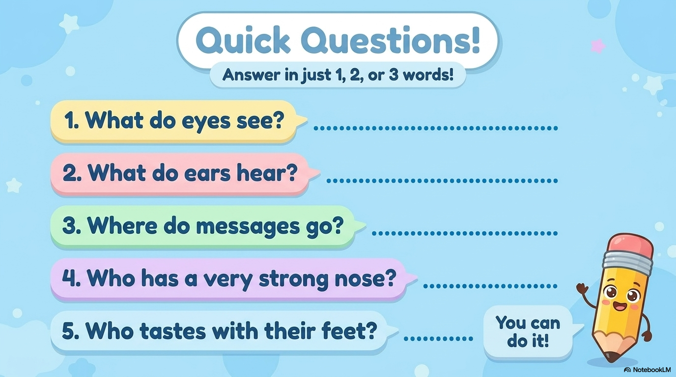 Our Five Senses Activity Workbook - LittleMindsHomeschool
