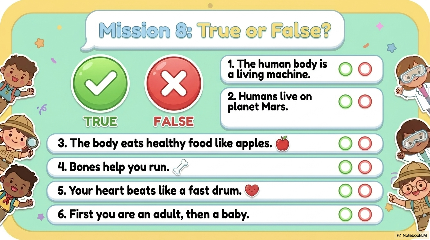 Human Body Activity Workbook - LittleMindsHomeschool